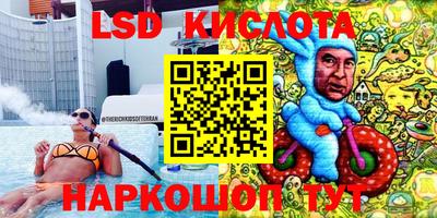 стафф Пенза