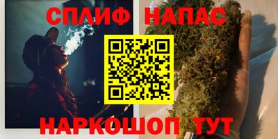 стафф Пенза