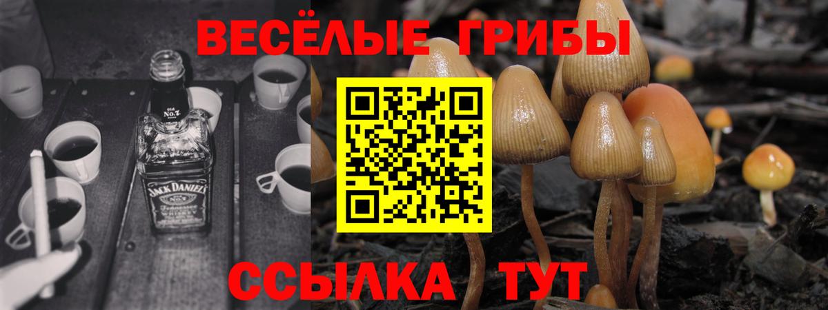 хочу   Галлюциногенные грибы ЛСД  Вход с VPN  Галлюциногенные грибы мицелий  Тихвин 
