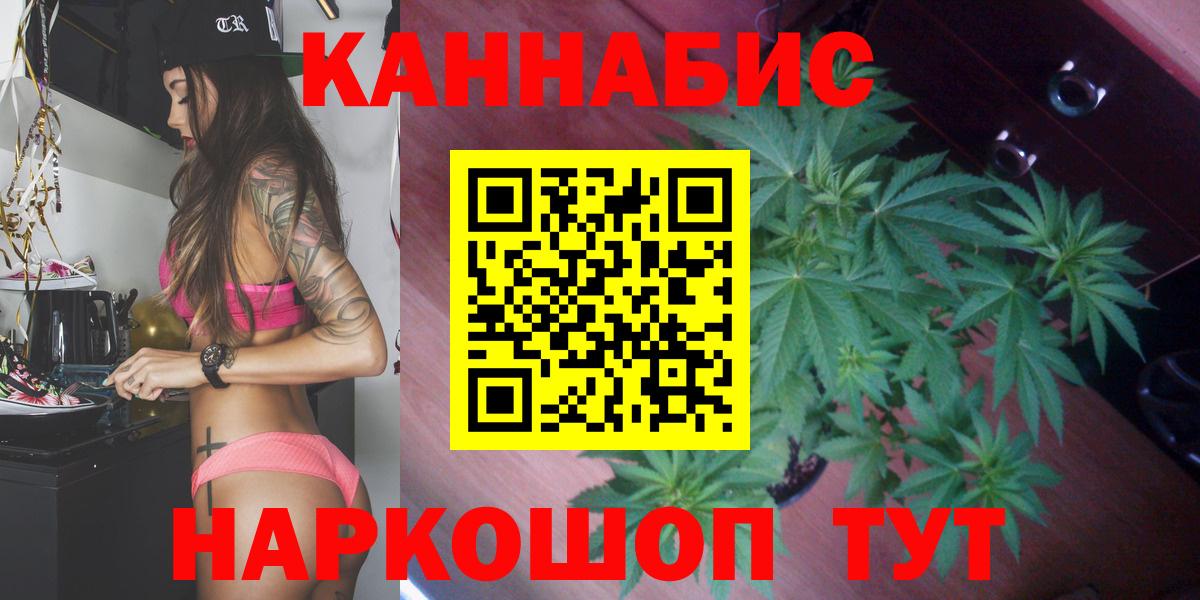 Конопля ГИДРОПОН  Вход с VPN  Бошки Шишки планчик  Канабис планчик  Тихвин 